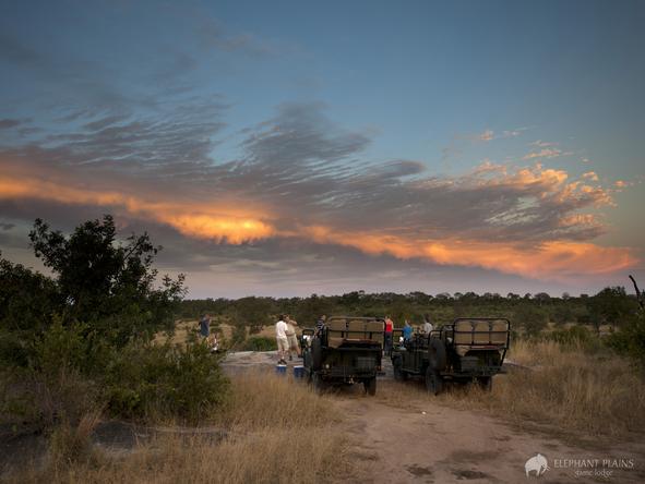 Elephant Plains Game Lodge - game drive sunset